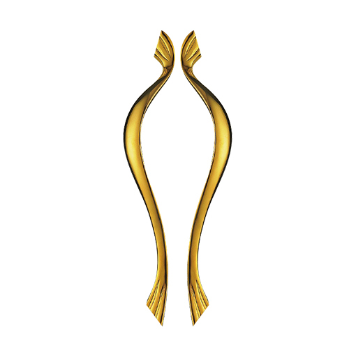 luxurious pull handle PH-265